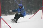 Dualsnow