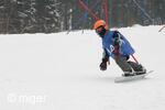 Dualsnow