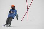Dualsnow