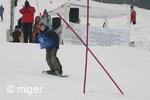 Dualsnow