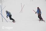 Dualsnow