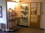expozice muzea