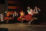 Mezinárodní armádní festival Rožnovská Valaška