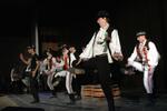 Mezinárodní armádní festival Rožnovská Valaška