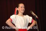 Mezinárodní armádní festival Rožnovská Valaška