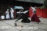 Mezinárodní armádní festival Rožnovská Valaška