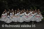 Mezinárodní armádní festival Rožnovská Valaška