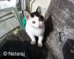Meditační a relaxační centrum NATARAJ Skalka u Doks