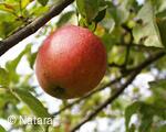 Meditační a relaxační centrum NATARAJ Skalka u Doks