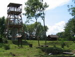Rozhledna Barborka