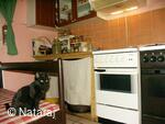 Tantra NATARAJ Skalka u Doks