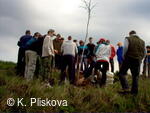 Petřvald