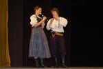 Mezinárodní folklorní festival Frýdek-Místek