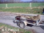 Petřvald