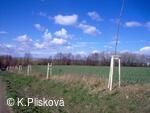Petřvald