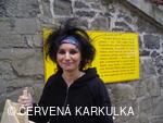 Slet čarodějnic u Perníkové chaloupky 2008
