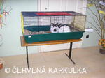 Velikonoce v Perníkové chaloupce 2005