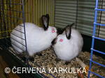 Velikonoce v Perníkové chaloupce 2005