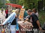 Svatováclavská perníková tlačenice 2006