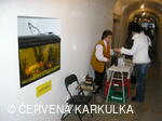 Vánoce v Perníkové chaloupce 2006
