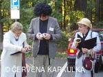 Prošetřovací komise v Perníkové chaloupce