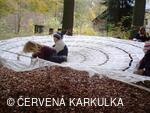 Perníkiáda 2009 - pavoučí síť