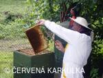 Medobraní a Den dětí 2010