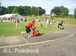 Petřvald