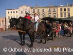 Den bez aut 2011
