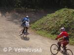 Petřvald